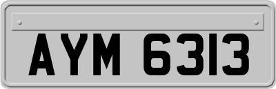 AYM6313