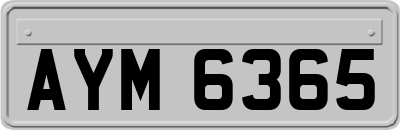 AYM6365