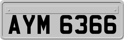 AYM6366