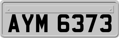 AYM6373