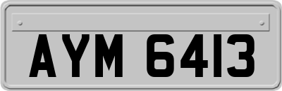 AYM6413