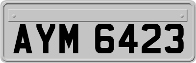 AYM6423
