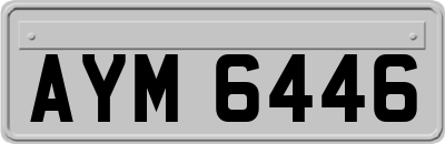 AYM6446