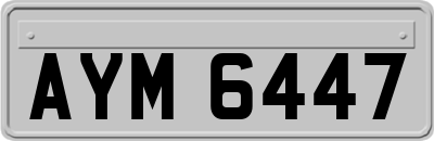AYM6447