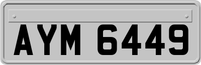 AYM6449