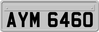 AYM6460