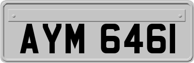 AYM6461