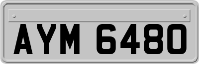 AYM6480
