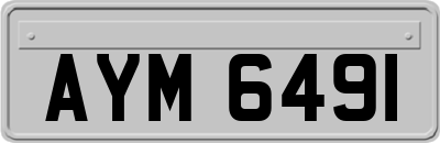 AYM6491
