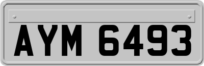 AYM6493