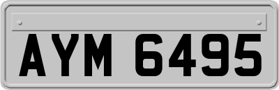 AYM6495
