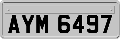 AYM6497