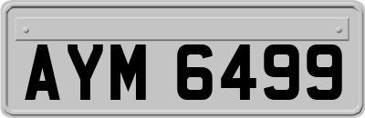 AYM6499