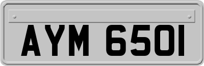 AYM6501