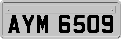 AYM6509