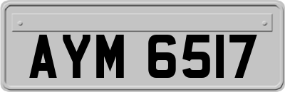 AYM6517