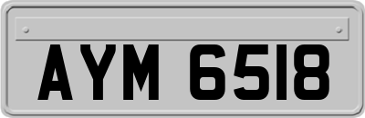 AYM6518