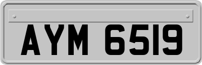 AYM6519