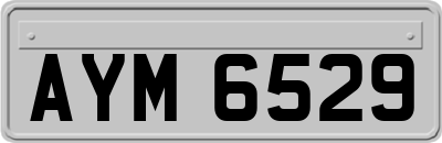 AYM6529