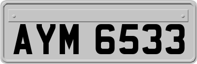 AYM6533