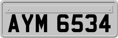 AYM6534