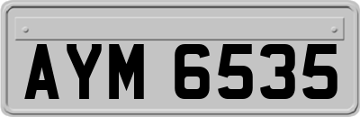 AYM6535