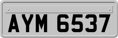 AYM6537