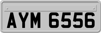AYM6556