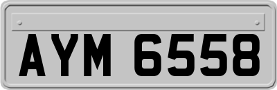 AYM6558