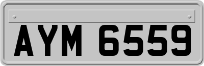 AYM6559