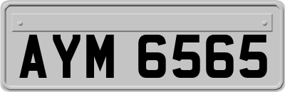 AYM6565