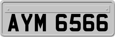 AYM6566