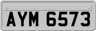 AYM6573