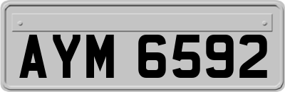 AYM6592