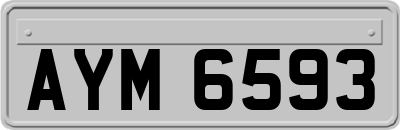 AYM6593