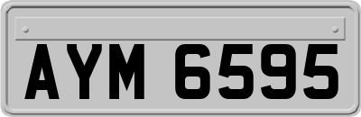 AYM6595