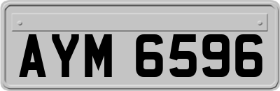AYM6596