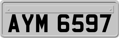AYM6597