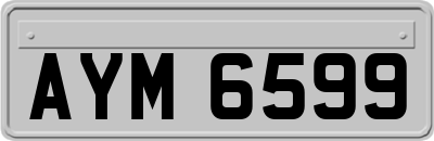 AYM6599