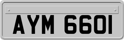 AYM6601