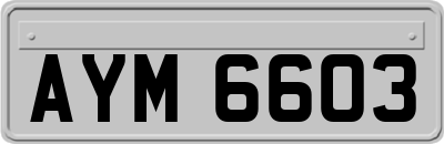 AYM6603