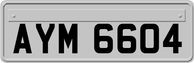 AYM6604