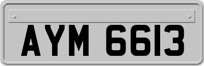 AYM6613