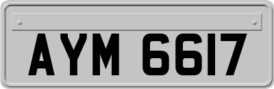 AYM6617