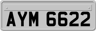 AYM6622