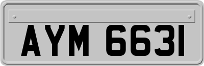 AYM6631