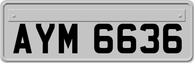 AYM6636