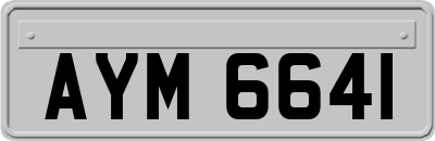 AYM6641