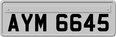 AYM6645