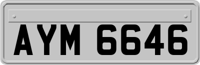 AYM6646